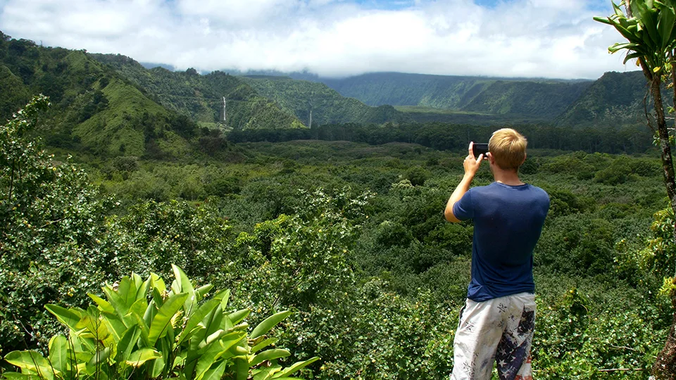 Free Things to Do on Maui Road to Hana