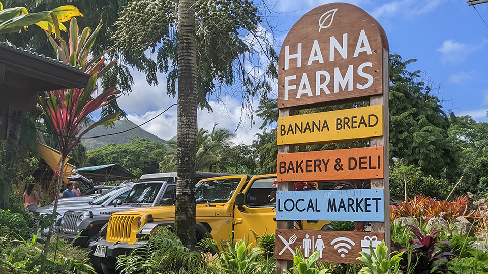 Free Things to Do on Maui Road to Hana