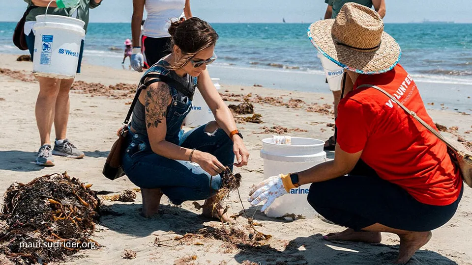 Volunteer on Vacation Maui Surfrider Foundation