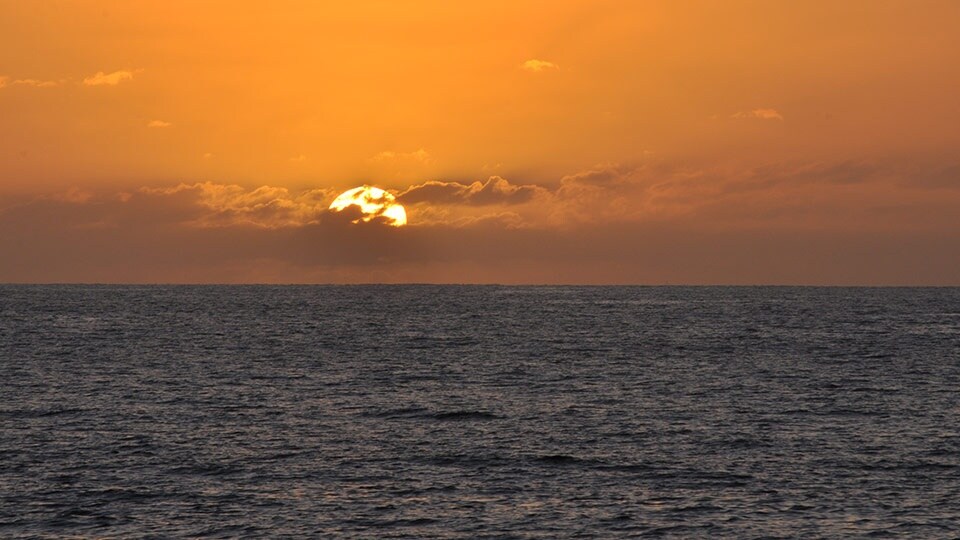 Best Maui Free Activity Watch Sunset