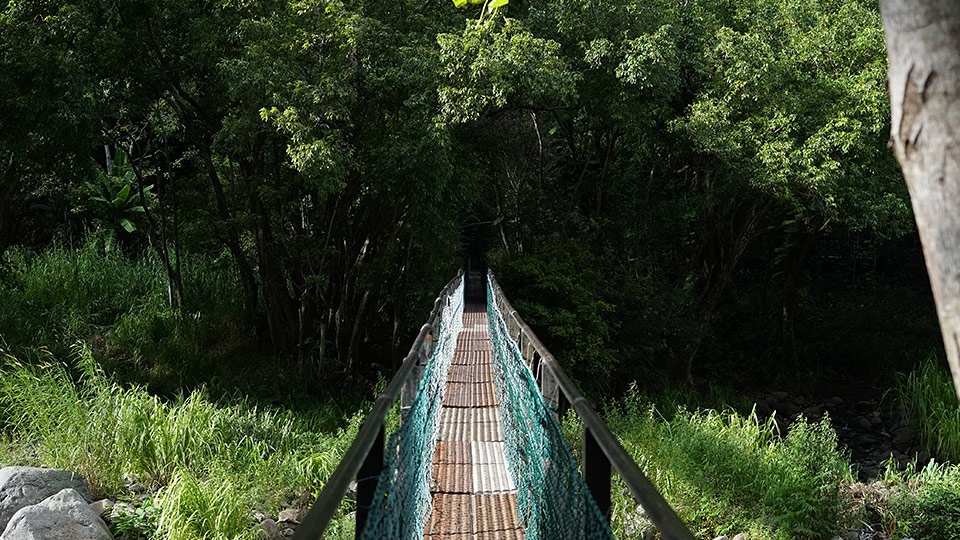 Best Maui Free Activity Hiking