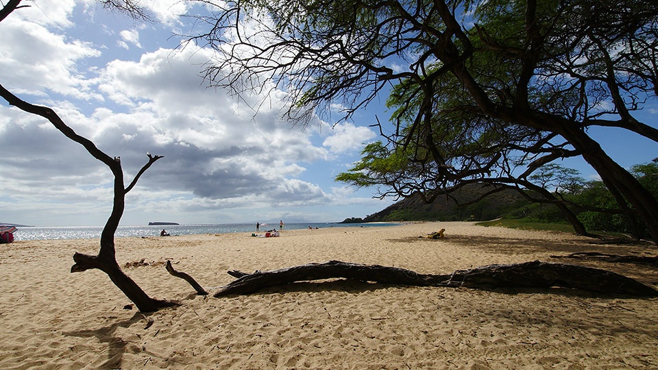 Best Maui Free Activity Sightseeing