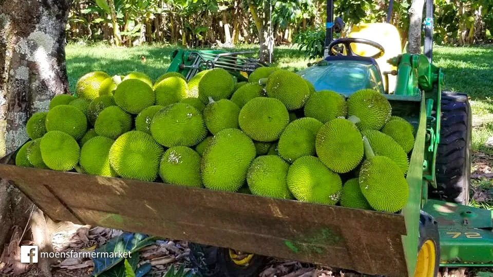 Best Local Maui Produce Rowena's Produce