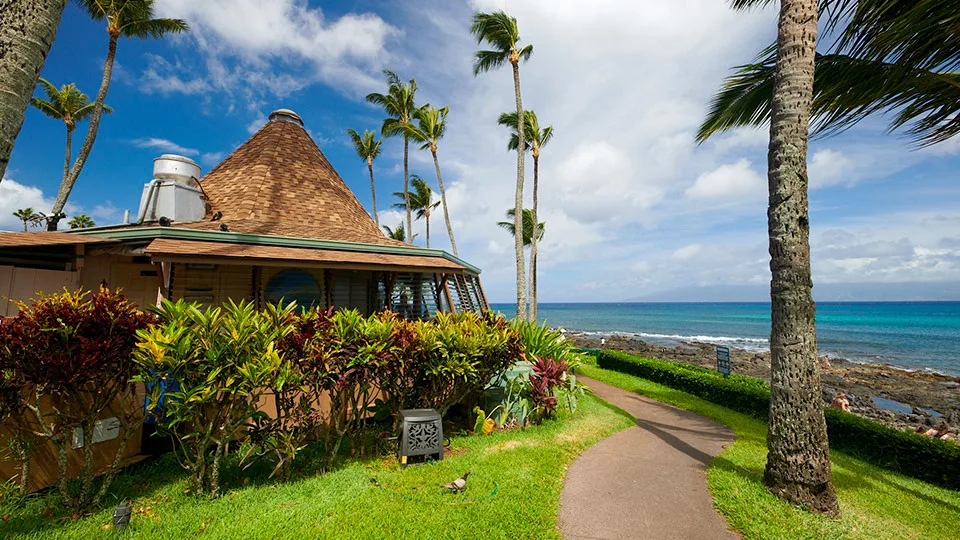 Best Maui Breakfast Places Gazebo