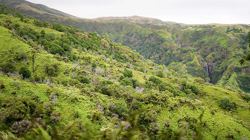 Peaceful Secret Spots Waihee Ridge Trail