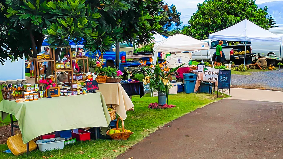 Maui Best All Organic Wednesday Market