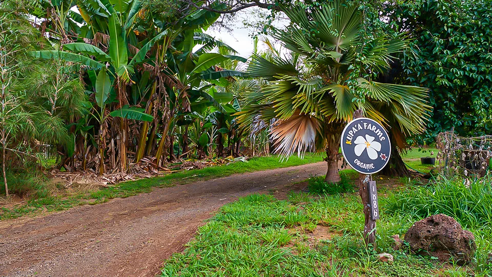 Maui Best All Organic Kupa'a Farms