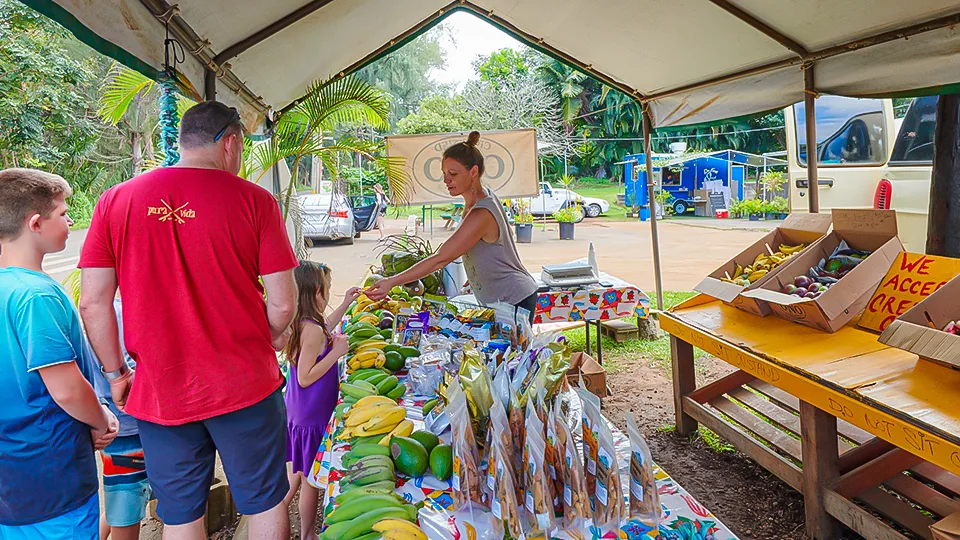 Maui Best All Organic Ono Organic Farms