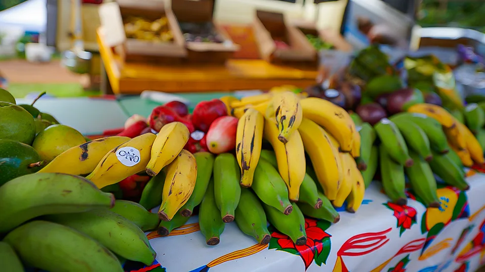 Maui Best All Organic Ono Organic Farms