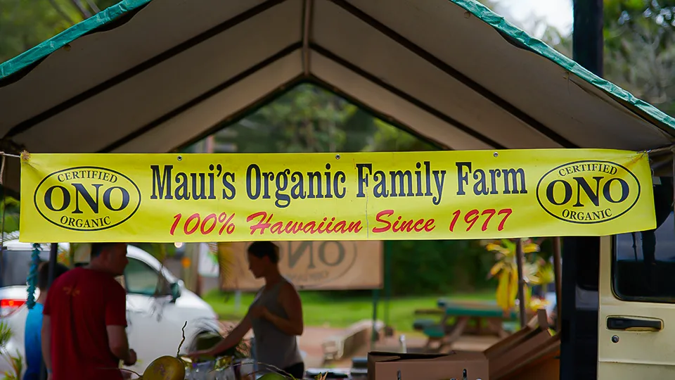 Maui Best All Organic Ono Organic Farms