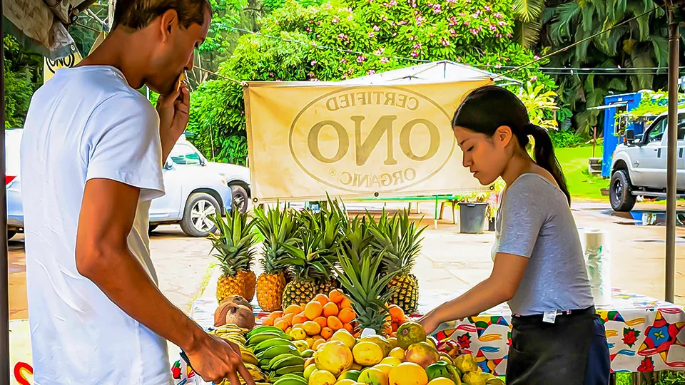 Maui Best All Organic Ono Organic Farms