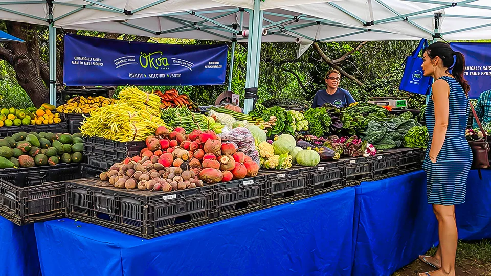 Maui Best All Organic Wednesday Market