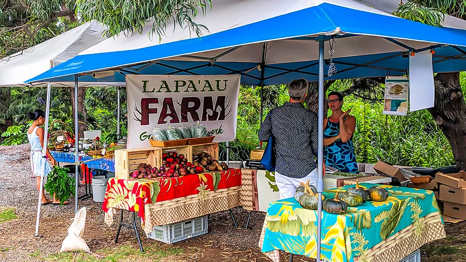 Maui Best All Organic Wednesday Market