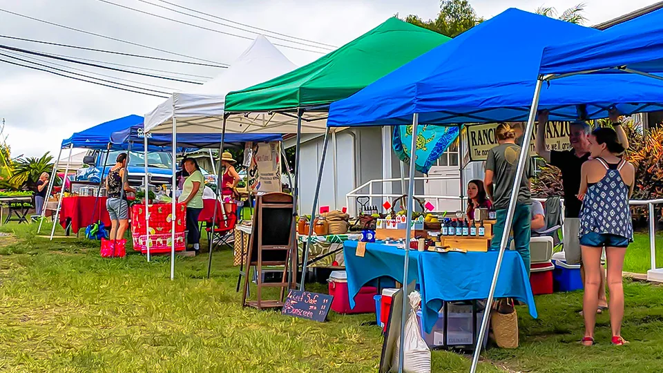 Maui Best All Organic Wednesday Market