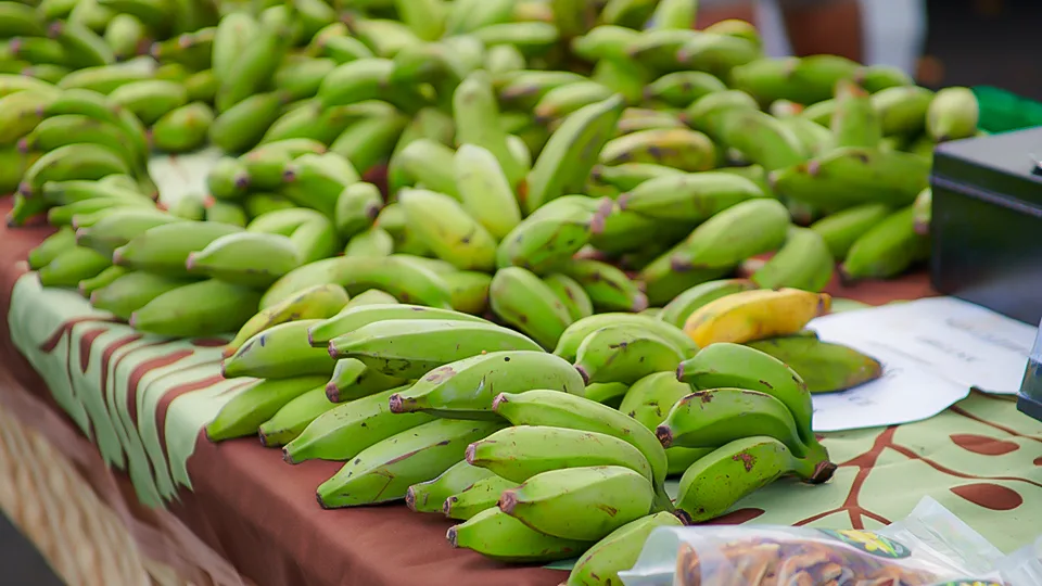 Maui Best All Organic Upcountry Farmers Market