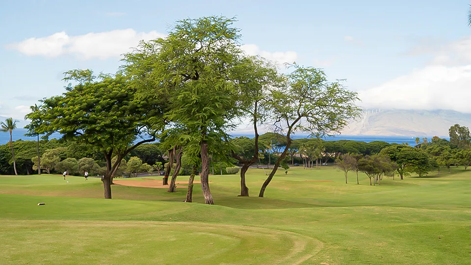 Best Golf Courses on Maui Blue Course