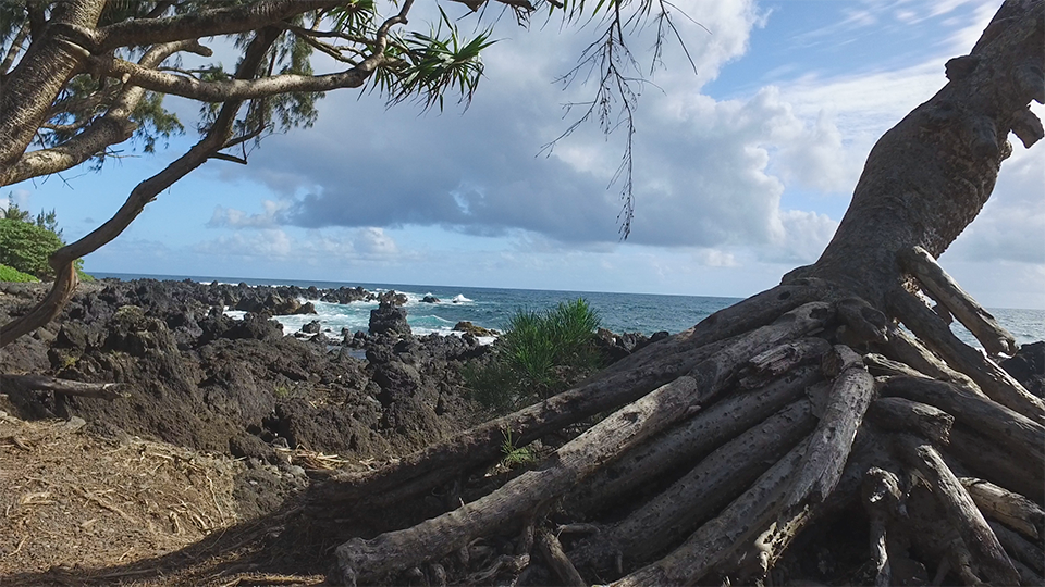 Maui Best Camp Keanae