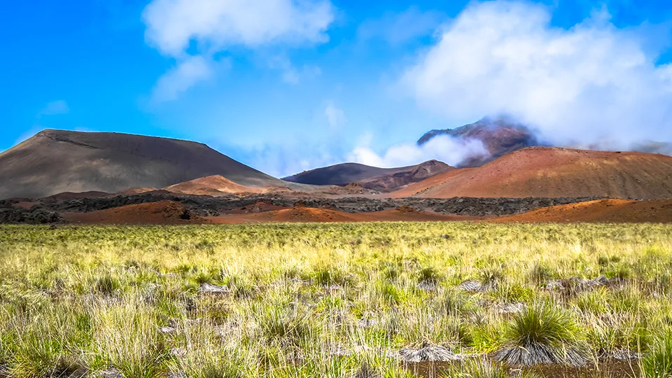 Best Maui Camping Holua