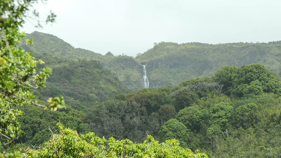 Best Maui Camping Kipahulu