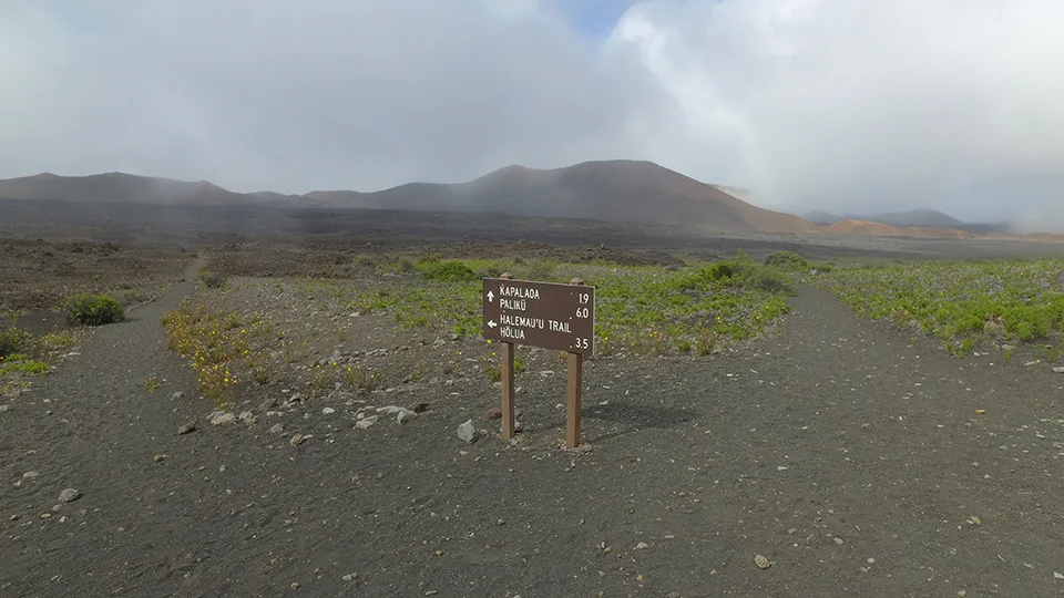 Best Maui Camping Paliku