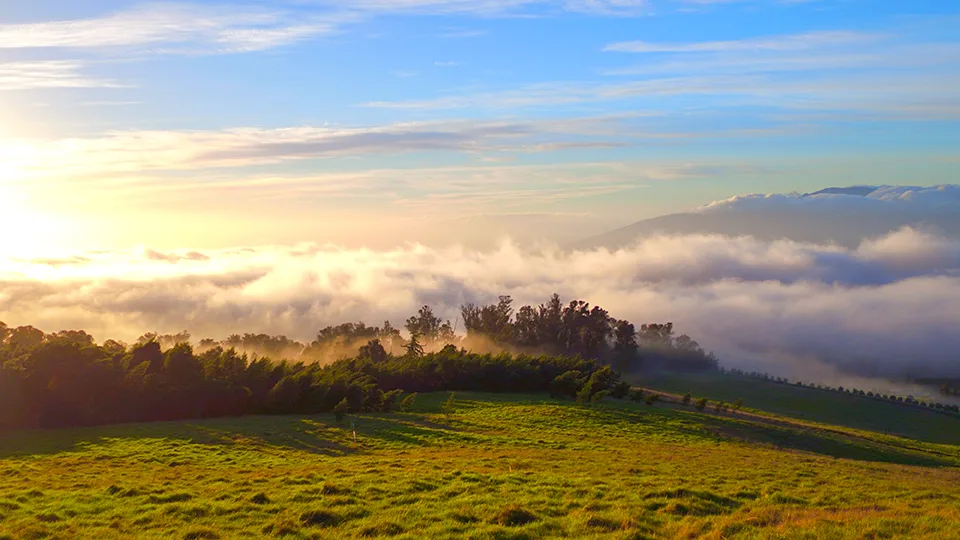 Maui Best Camping Polipoli State Park