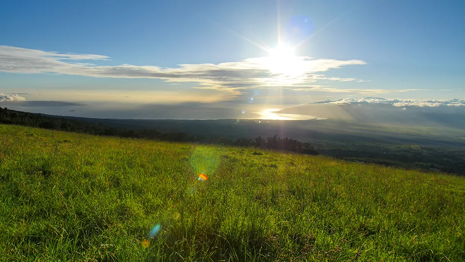 Maui Best Camping Polipoli State Park