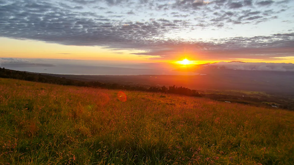 Maui Best Camping Polipoli State Park