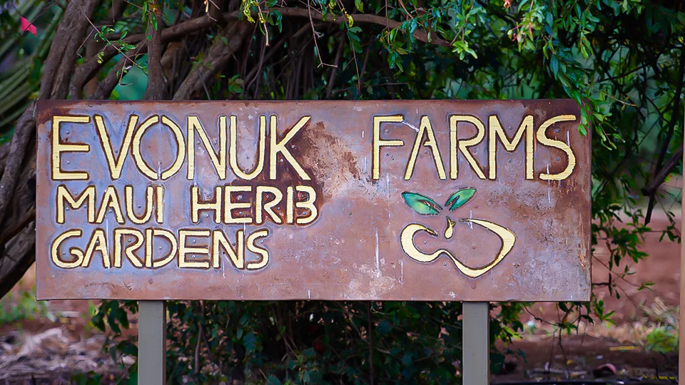 Maui Best All Organic Evonuk Farms