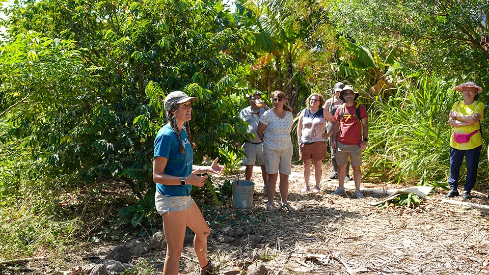 Best Maui Plantation Tours La Kahea Community Farm