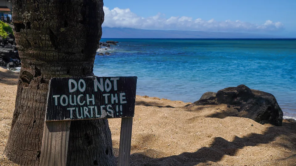 Best Places to Surf on Maui Pohaku Beach