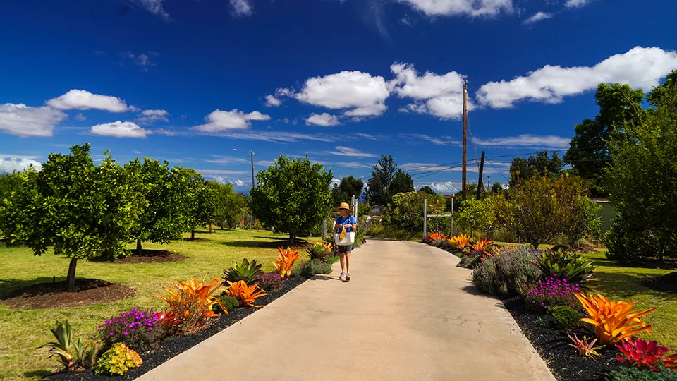 Best Farm Tours on Maui Pueo Farm