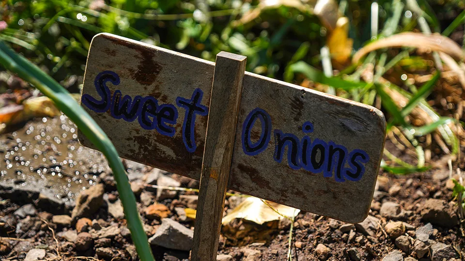 Best Farm Tours on Maui Pueo Farm