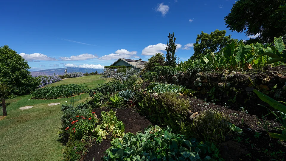 Best Farm Tours on Maui Pueo Farm