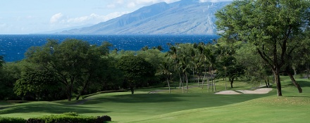 Best Maui Golf Courses Top 10 Places To Golf In Maui   Top 10 Golf Courses On Maui Gold Course 1 440x175 