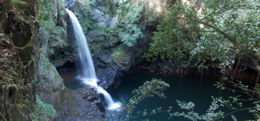 Top 15 Road to Hana Places to Stop | The Best Hana Stops