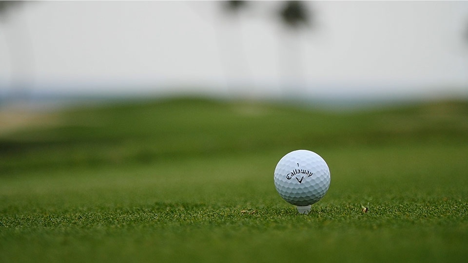 Best Things to Do in Hawaii Golfing