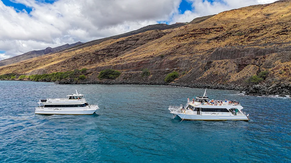 Best Places to Snorkel in Maui Coral Gardens