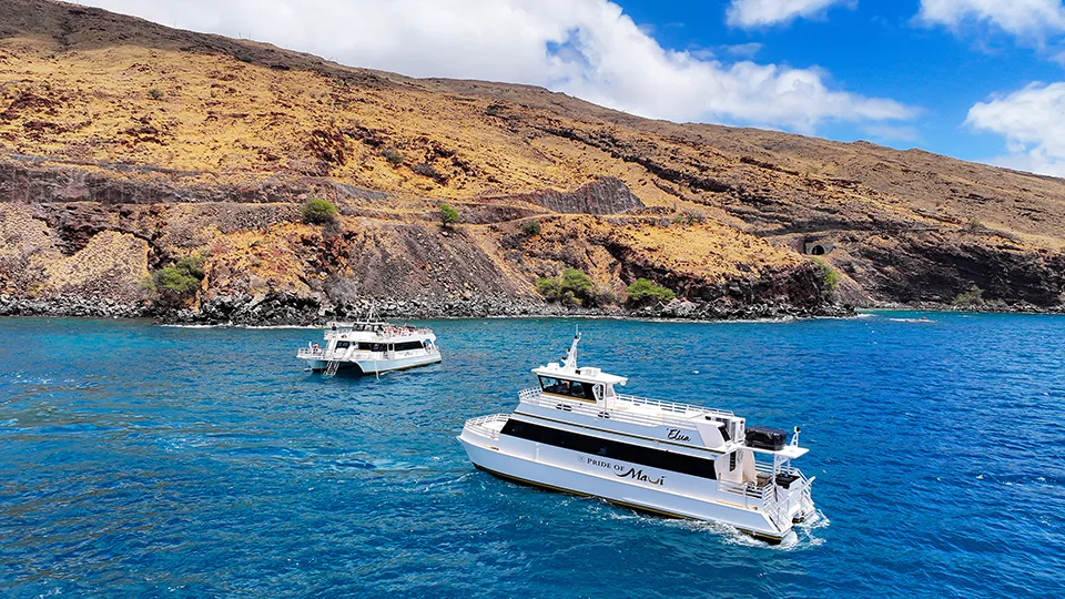 Best Places to Snorkel in Maui Coral Gardens