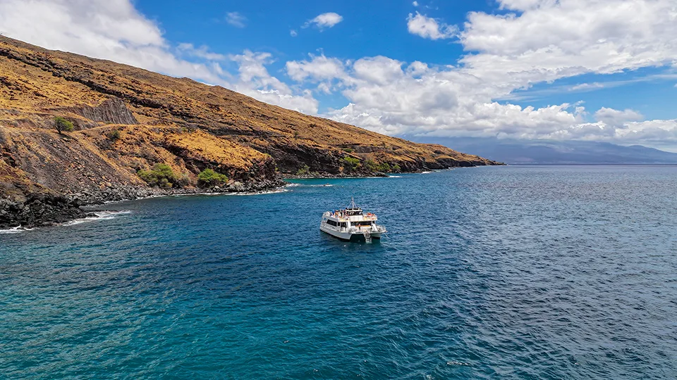 Best Places to Snorkel in Maui Coral Gardens