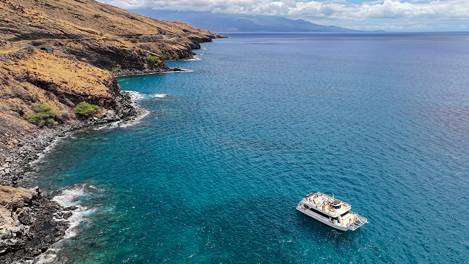 Best Places to Snorkel in Maui Coral Gardens