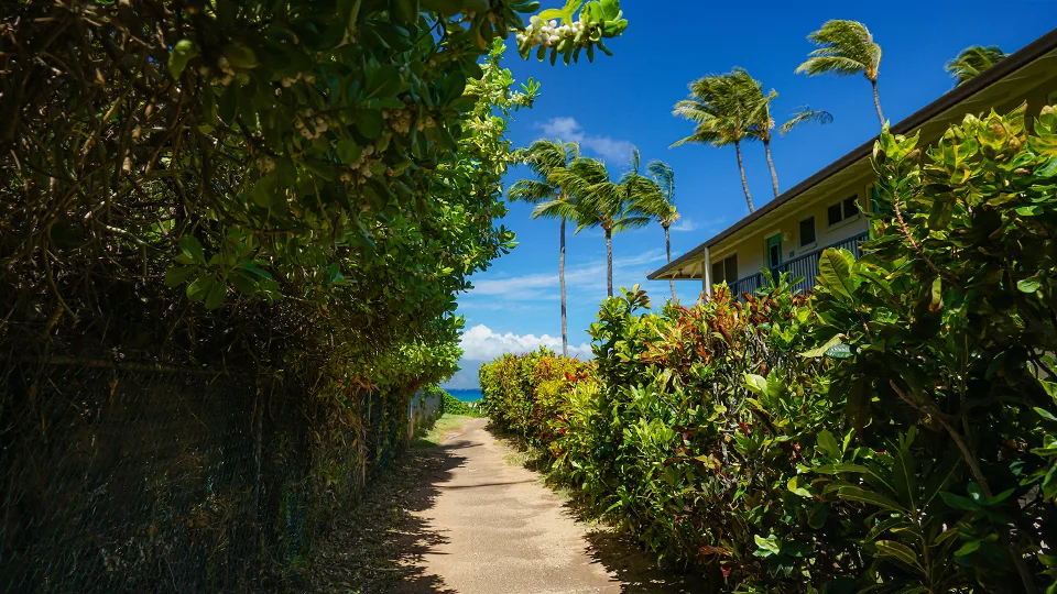 Best Places for Snorkeling on Maui Napili Bay