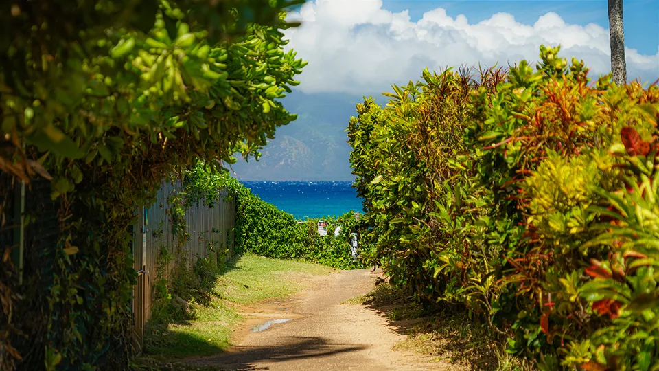 Best Places for Snorkeling on Maui Napili Bay