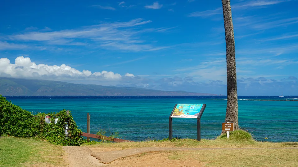 Best Places for Snorkeling on Maui Napili Bay