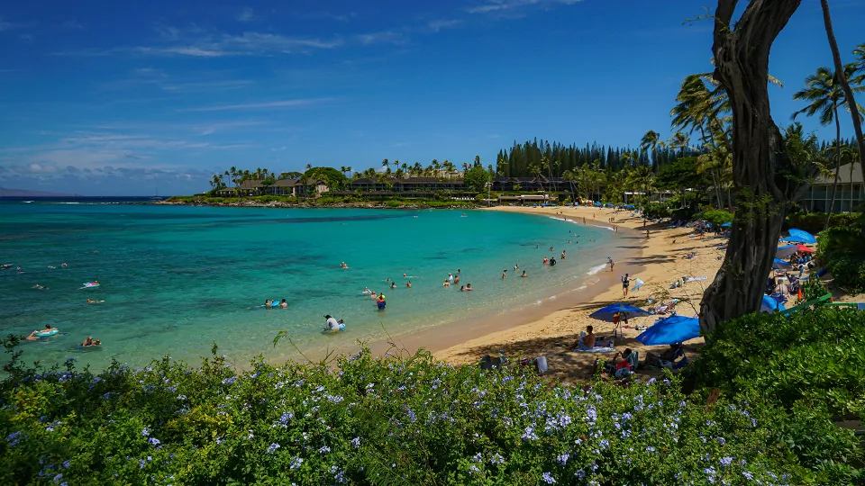 Best Places for Snorkeling on Maui Napili Bay