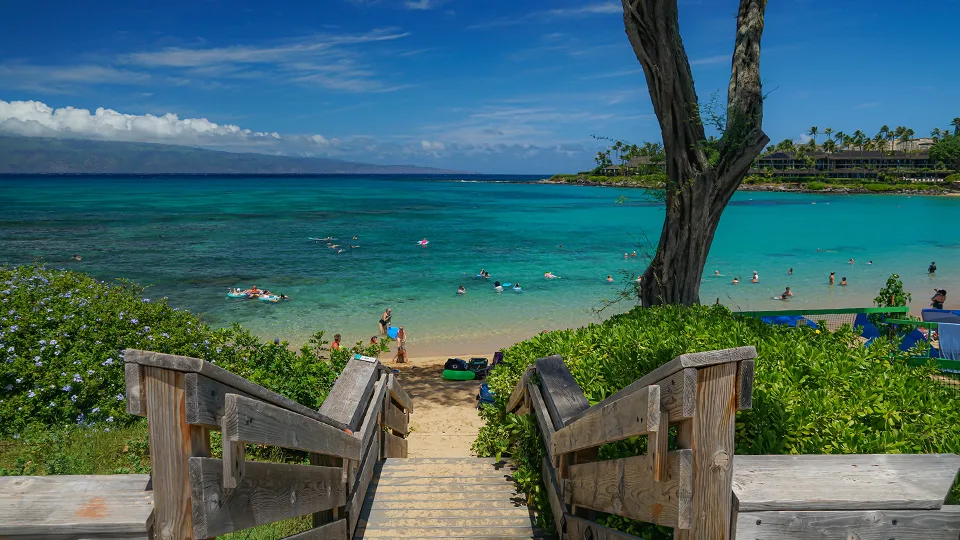 Best Places for Snorkeling on Maui Napili Bay