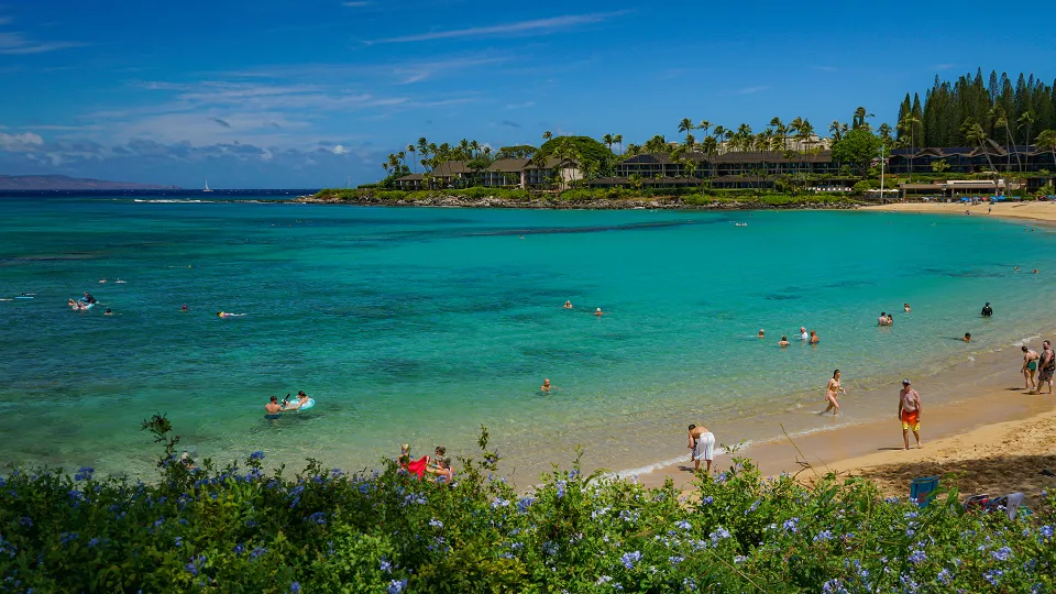 Best Places for Snorkeling on Maui Napili Bay