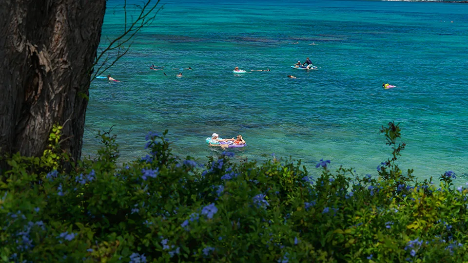 Best Places for Snorkeling on Maui Napili Bay