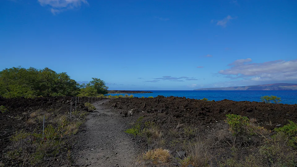 Ahihi Kinau Maui Hawaii