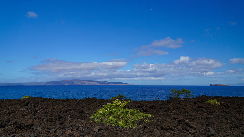 Ahihi Kinau Maui Hawaii