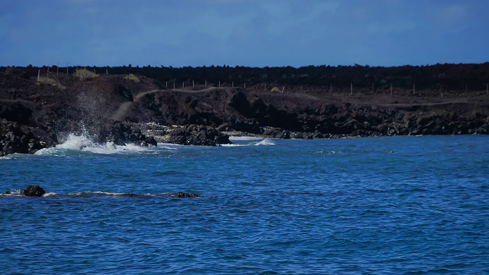 Ahihi Kinau Snorkeling